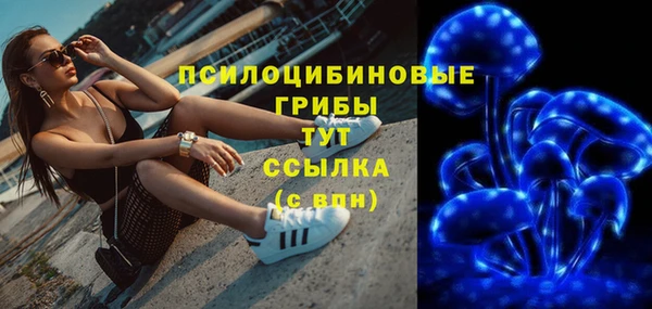 эйфоретик Осинники