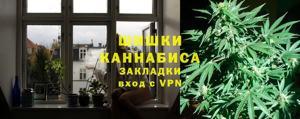 эйфоретик Осинники