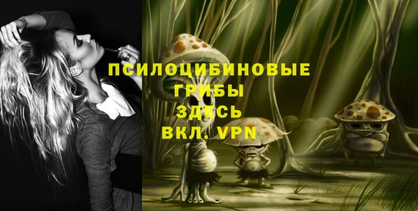 эйфоретик Осинники