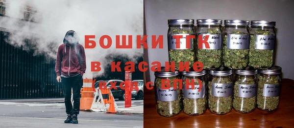 эйфоретик Осинники